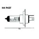 Ampoule H4 12V-100/80W